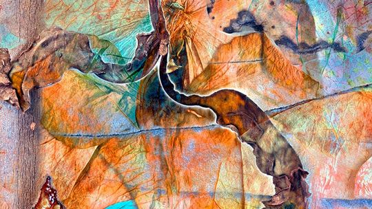International Garden Photographer of the Year