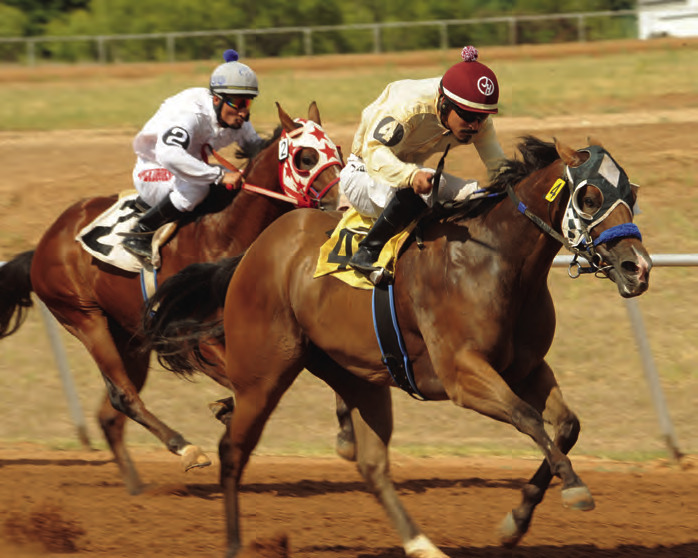 The summer season at the Gillespie County Fair Grounds will provide four opportunities to watch horse racing and bet on a favorite. – Standard-Radio Post/Brent Bur