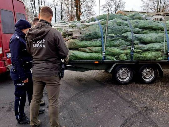 Policjanci włączyli się w akcję "Choinka"