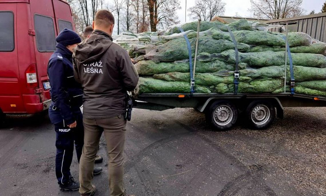 Policjanci włączyli się w akcję "Choinka" Policjanci włączyli się w akcję "Choinka"