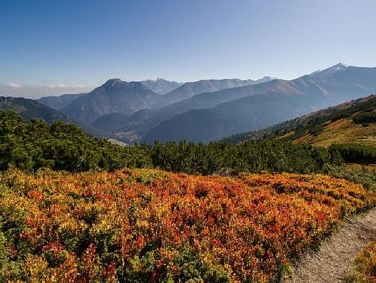 Dlaczego warto zwiedzić Tatry jesienią?