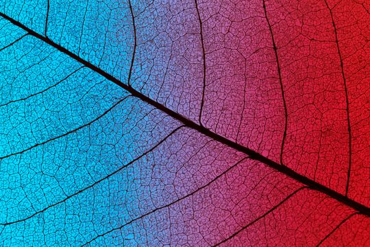 Domyślny atrybut alt