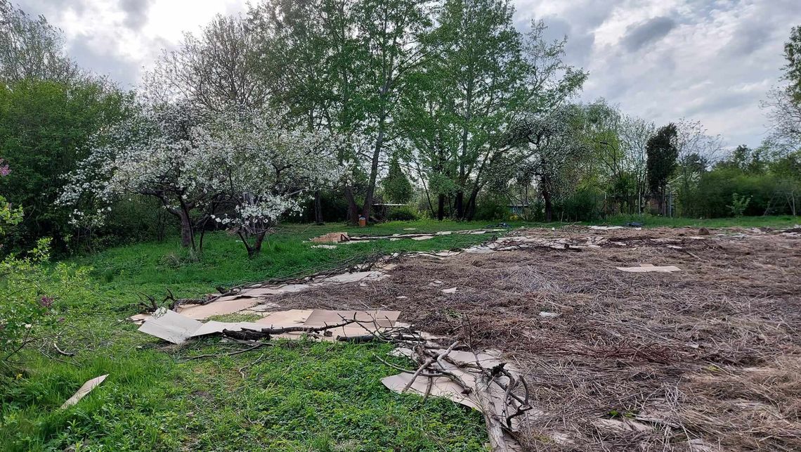 W Warszawie działa pierwsza spółdzielcza farma miejska. „Pomaga przetrwać w świecie pełnym bodźców”