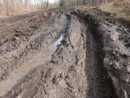 Region: Wojewoda ma pomóc w sprawie dróg Region: Wojewoda ma pomóc w sprawie dróg