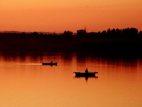 Test multisite - galerie zdjęć Test multisite - galerie zdjęć