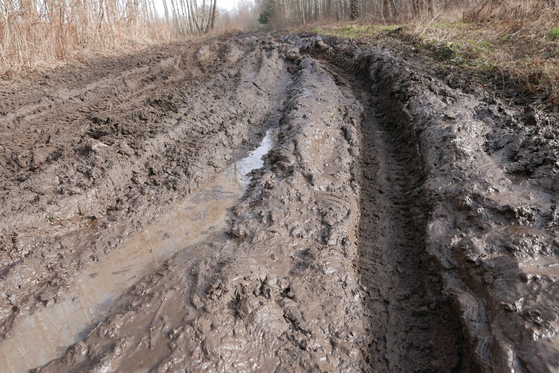 Region: Wojewoda ma pomóc w sprawie dróg