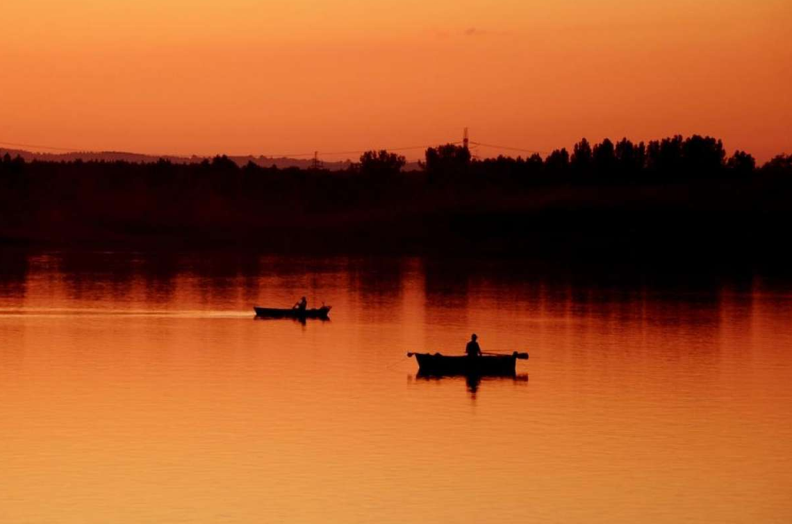 Test multisite - galerie zdjęć