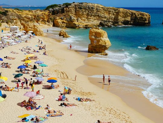 Łańcuch życia w Łebie.  Jak go utworzyć?