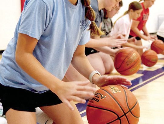Sandburg Youth Summer Camps for Softball, Cross Country, Basketball, Volleyball