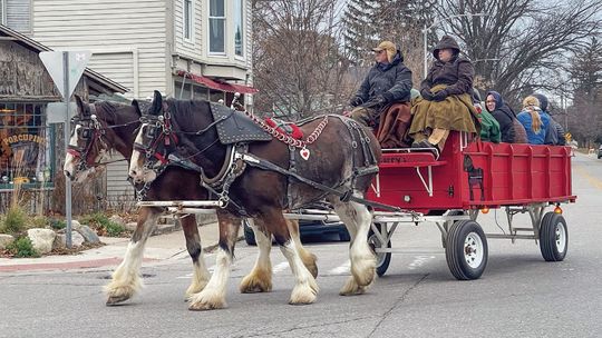 Among the Northport Tree Lighting Festivities are horse-drawn carriage rides, like the one pictured here, departing from The Mitten Brewing Company. People can take a free carriage ride one last time this Saturday from 3-6 p.m., or drive down to the Northport Creek Golf Course for gingerbr...