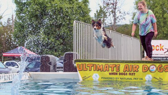 Jen Stephens and her dog Kash competed at the Ultimate Air Dogs competition at the Cedar Polka Fest on Saturday and Sunday. Kash had a jump of 19 feet 10 inches in the final. Enterprise photo by Brian Freiberger