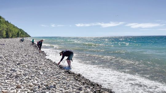 People gather along the shores at Peterson Park in Northport to rock hunt for treasures pushed up by the waves. Enterprise photo by Meakalia Previch-Liu
