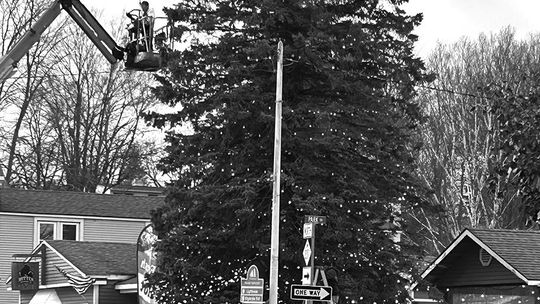 The Northport Christmas Tree, always a spectacular sight, is being readied for the season. Scott Cain, owner of Cain Design and Construction, was up the bucket hanging giant ornaments. The tree lighting will be Saturday, November 30 at 6 pm. There are events all that day in Northport. Cour...
