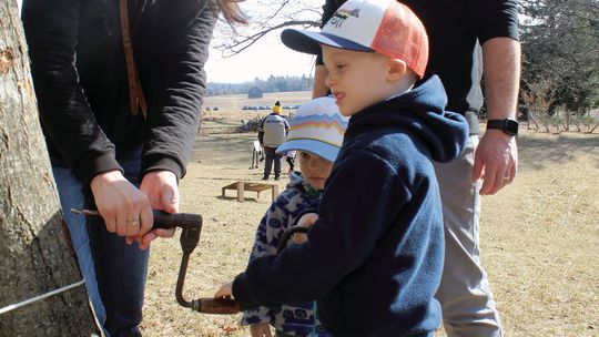 The LeRose family had a blast at Maple Sugaring Days at Dechow and Oleson family farms in the Port Oneida Rural Historical District on Sunday. Emily (left) helps Graham gather maple sap while his brother Hudson and father Claude watch. Enterprise photo by Brian Freiberger
