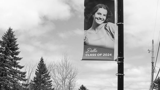 The street banners in downtown Lake Leelanau