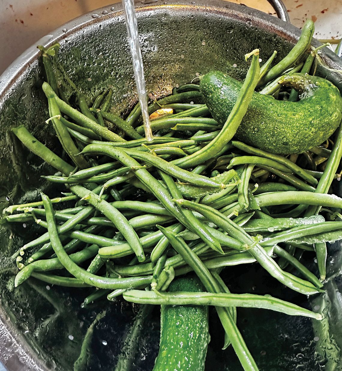 Harvest time in Leelanau means fresh produce. These beans and cucumbers were included in an All-Leelanau menu. Enterprise photo by Amy Hubbell