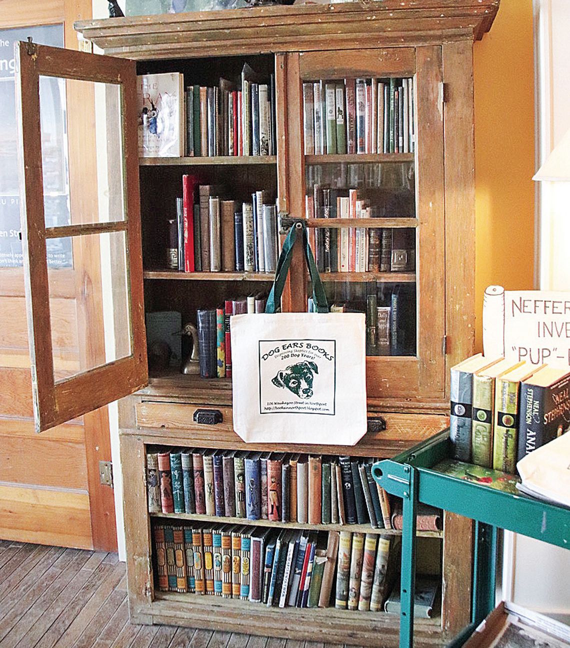 Pamela Grath at Dog Ears Books marked 30 years in business in July. Courtesy photo