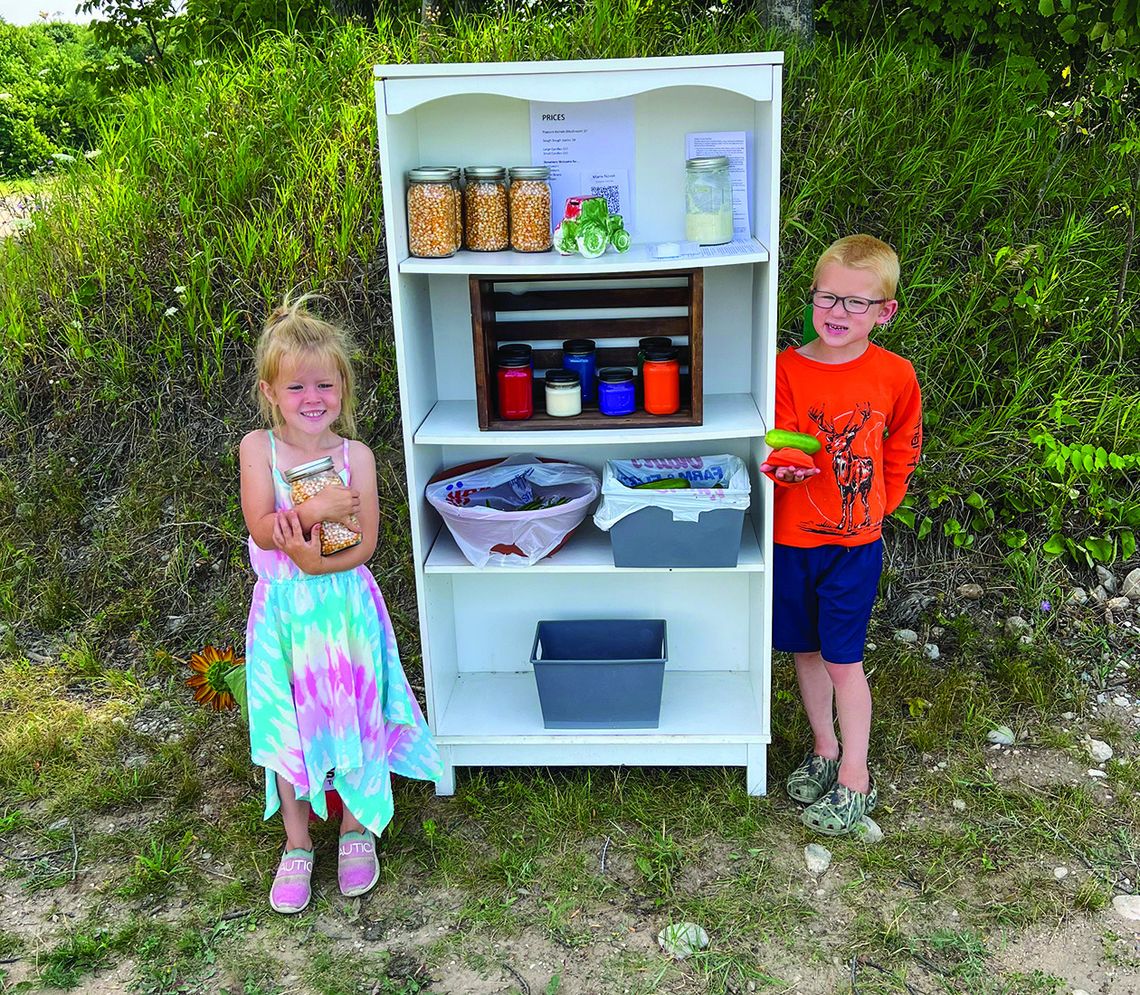 Kacey and Wyatt Novak, ages 4 and 6 respectively, have their produce stand on Newman Road, a few hundred feet from M-72. They are the children of Austin and Marie Novak. Courtesy photo