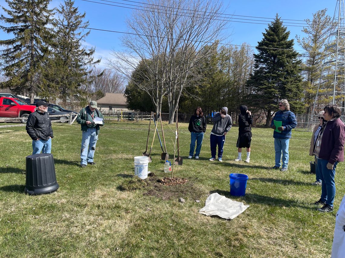 Students from Northport Public School helped plant a London planetree for the village’s first Arbor Day celebration in 2022. Enteprise photo by Meakalia Previch-Liu
