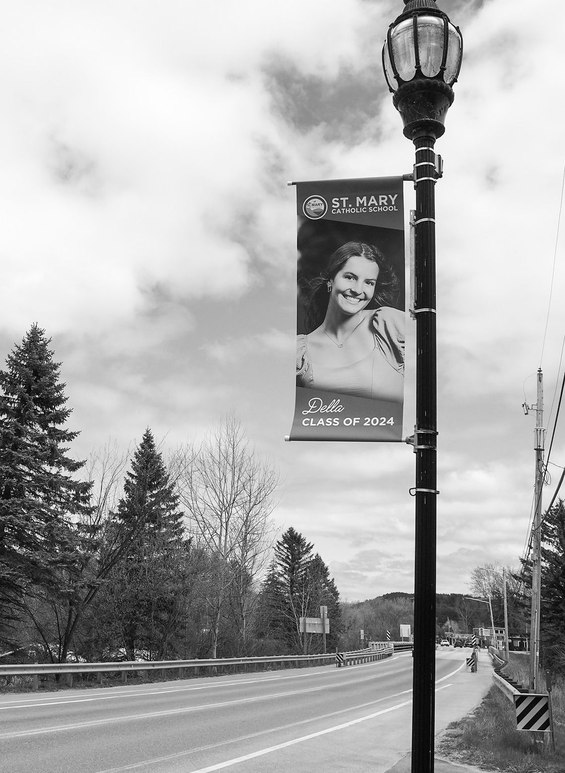 The street banners in downtown Lake Leelanau The street banners in downtown Lake Leelanau