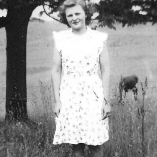 Joanne F. Popa