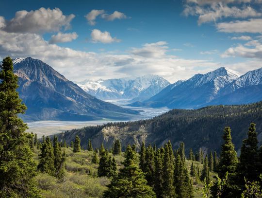 Mountain panorama with snow-covered peaks, a valley, and a coniferous forest under a blue sky