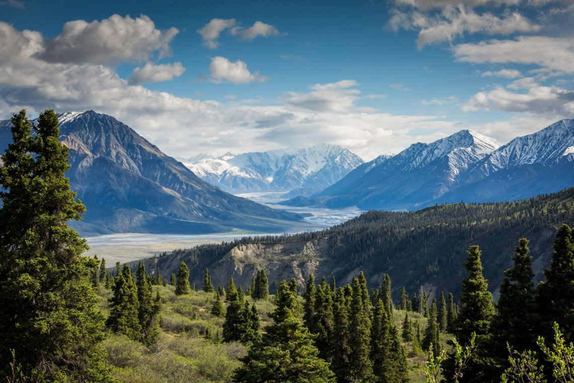Mountain panorama with snow-covered peaks, a valley, and a coniferous forest under a blue sky