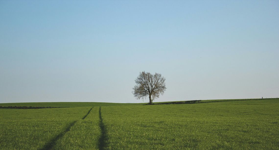 Watermarks Explained: How They Protect Content, Build Brands, and Where They Fall Short